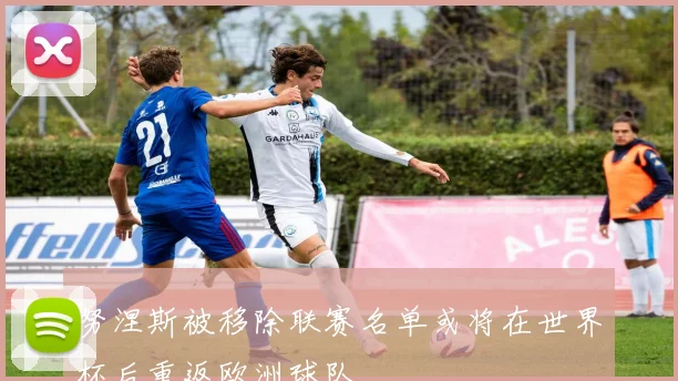 努涅斯被移除联赛名单或将在世界杯后重返欧洲球队