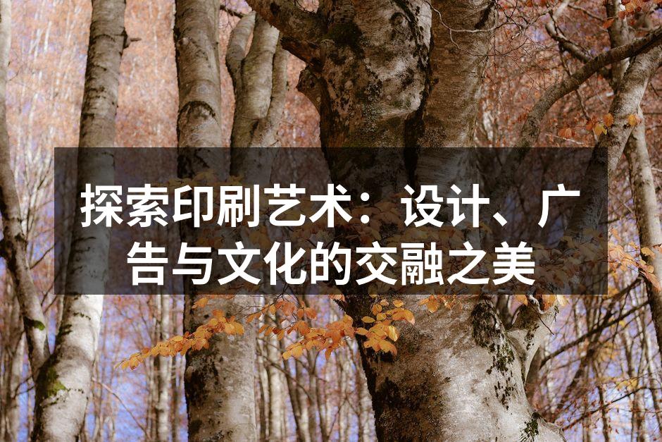 印刷艺术展览现场,展示了多样化的印刷作品